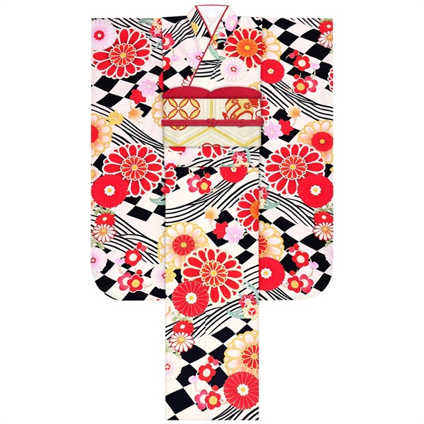 【Web限定】F1703 フラッグ菊 黒