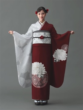 F5715 ボルドー色×祝い菊柄の正絹振袖単品