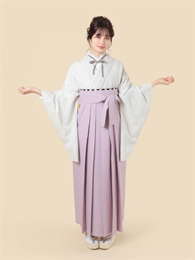 M0057 糸目菊 グレーレンタルセット