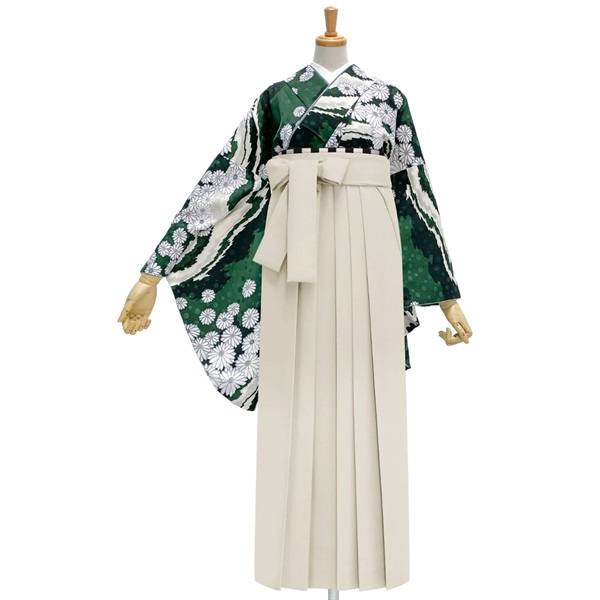 M0081 小菊 緑レンタルセット