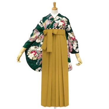 M0089 松に花丸紋 緑レンタルセット