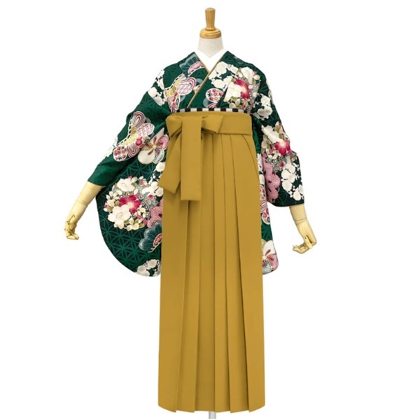 M0089 松に花丸紋 緑レンタルセット