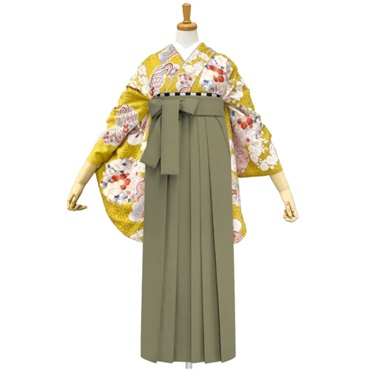 きもの単品 M0090 松に花丸紋 カラシ