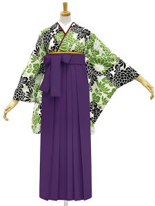 着物と袴のレンタルセット商品画像。袴は紫色。着物は萌黄色。市松菊柄のデザイン。